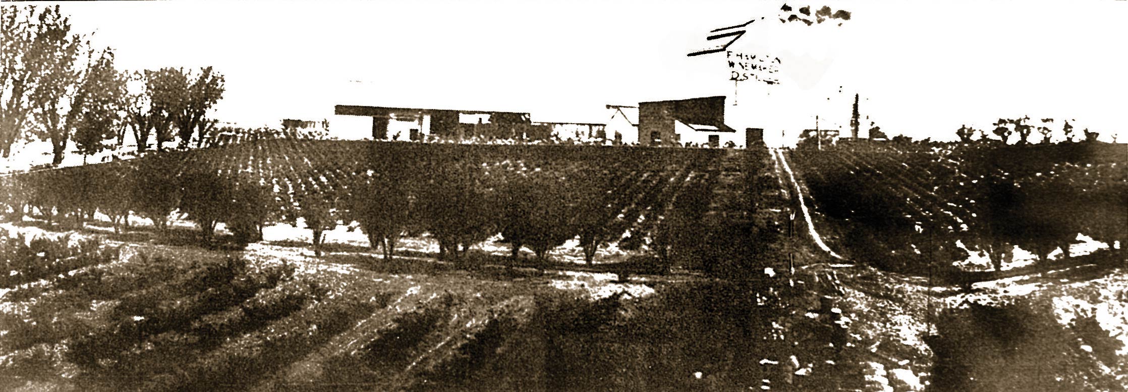Distillery and vineyard panorama