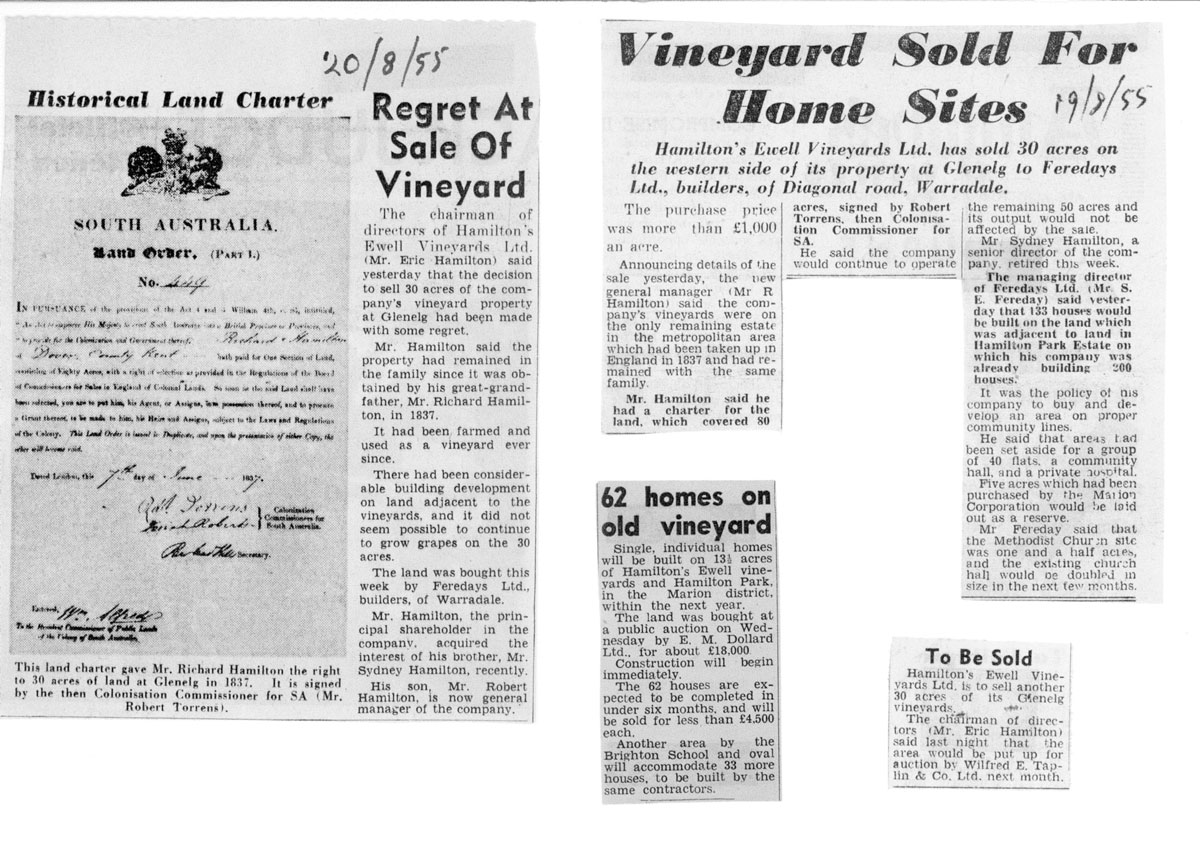 Vineyard-Sale-articles-Aug-1955