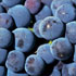 Closeup grapes